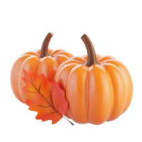 two pumpkins with leaves on them png