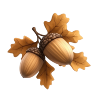 realistic acorn on a branch with leaves and acorns png