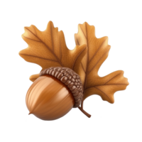 an acorn and oak leaf on a transparent background png