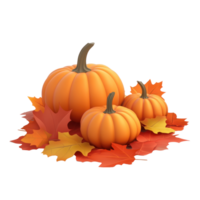 pumpkins and leaves on a white background png