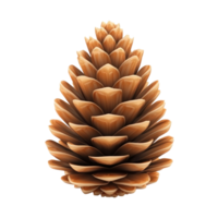3D icon cartoon pine cone on a transparent background png