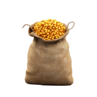 a sack full of corn on a white background png