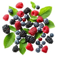 Mix berries with green leaves, clipping path isolate on transparency background png