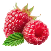 Raspberry whole and a half, clipping path isolate on transparency background png