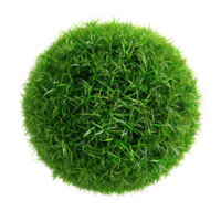 floated round grass ball isolate on transparency background png