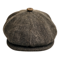 Newsboy Cap front view full length isolate on transparency background png