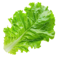 floated Fresh salad green lettuce leaf isolate on transparency background png