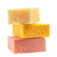 Sponges side view full length isolate on transparency background png
