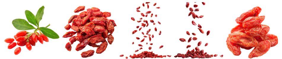 Falling Dried Goji Berry isolate on transparency background png