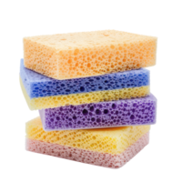 Sponges side view full length isolate on transparency background png