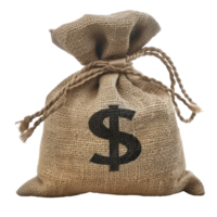 Money bag on it isolate on transparency background png