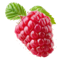 Fresh Raspberry, clipping path isolate on transparency background png