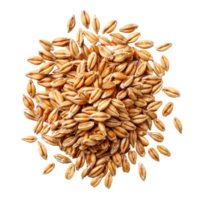 Heap of Spelt wheat isolate on transparency background png