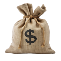 Money bag on it isolate on transparency background png