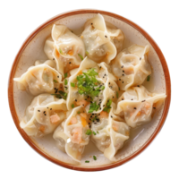 Wonton dumpling front view full length isolate on transparency background png