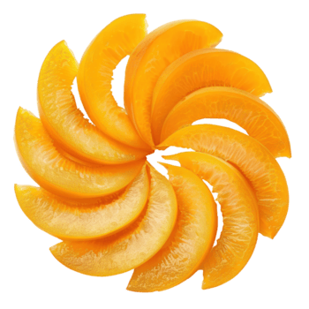 Apricot slices top view full length isolate on transparency background png