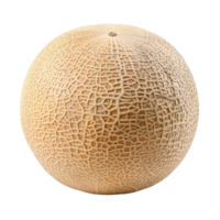 Cantaloupe side view full length isolate on transparency background png