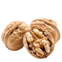 Closeup Walnuts isolate on transparency background png