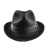 Fedora front view full length isolate on transparency background png
