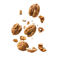 Falling walnuts isolate on transparency background png