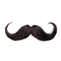 fake moustache isolate on transparency background png