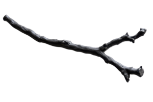 Black branch isolated on transparent background. Perfect for nature, wood, forest, and botanical-themed projects, adding a rustic and natural touch. png