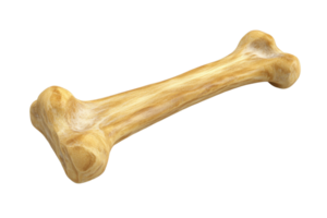 Realistic 3D rendering of a bone isolated on a transparent background. ideal for pet, veterinary, or paleontology-themed visuals and designs. png