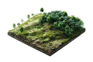 3D rendered illustration of a cross section of terrain with green forest, trees, and vegetation isolated on transparent background. png