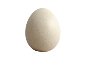 Close-up image of a single egg on a transparent background. Perfect for culinary, nutrition, and health-related themes. png