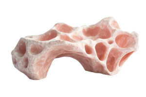 Close-up of a calcified sponge-like structure showcasing natural texture and intricate porous design, isolated on a transparent background. png