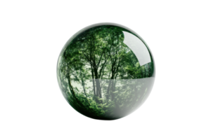 Crystal ball with lush green forest reflection, symbolizing nature, tranquility, and a serene environment. Perfect for eco-friendly themes. png