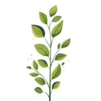 Illustration of a green leafy plant with multiple branches and vibrant leaves, isolated on a transparent background. png