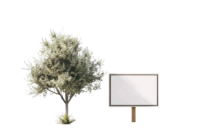 Isolated tree beside a blank white billboard on a transparent background. Ideal for nature, advertising, and design projects. png