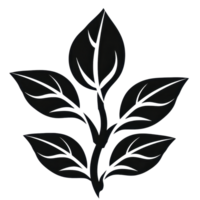Simple black silhouette of a leafy plant with multiple leaves on a transparent background. Elegant and minimalistic design. png