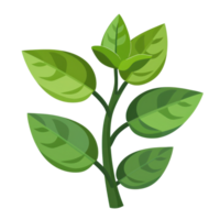illustration of a green leafy plant with multiple branches and vibrant leaves on a transparent background. png