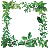 Beautiful frame of green leaves providing a natural border perfect for invitations, websites, and designs. png
