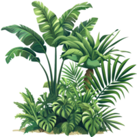 Lush green tropical foliage with various types of leaves creating a vibrant and exotic jungle-like environment. png