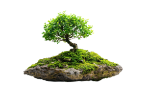 A small, lush bonsai tree growing on a rock covered in green moss, showcasing nature and tranquility on a transparent background. png