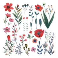 A collection of colorful wildflowers and leaves arranged in an artistic pattern, perfect for nature-themed projects and designs. png