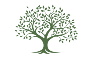 Illustration of a tree with lush green leaves and sturdy branches isolated on transparent background. perfect for nature and botanical themes. png