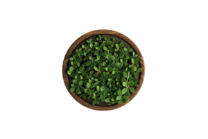 Top view of vibrant green leaves in a wooden bowl, perfect for health, nature, and culinary themes. png