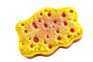 High-resolution photorealistic 3D rendering of a disease bacteria or virus cell, highlighting infection and medical science concepts. png