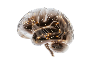 3D rendered digital brain with integrated circuit patterns and glowing lights, representing artificial intelligence and neural networks. png
