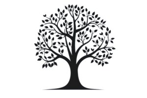 Elegant silhouette of a tree with intricate branches and leaves, perfect for representing nature and growth themes in various creative projects. png