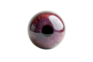 Close-up of a human eye with striking purple iris. Detailed and intriguing visual of eye anatomy, highlighting the intricate color and structure. png