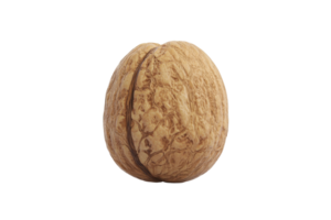 Close-up of a whole walnut isolated on a transparent background. Ideal for health, food, and nature-related designs and concepts. png