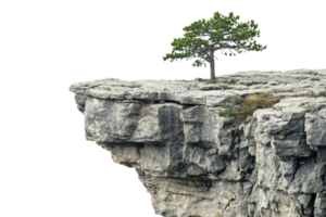 A lone tree standing resiliently on the edge of a rugged cliff, showcasing natural beauty and strength. png