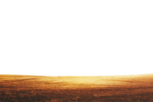A vast, empty field under a glowing sunset with a dark silhouette of trees lining the horizon, creating a serene and peaceful natural landscape. png