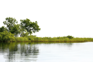 A serene riverside scene with lush green trees and grass reflected in calm, clear water, creating a tranquil and natural setting. png