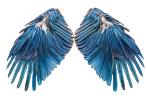 Beautiful pair of vibrant blue angel wings isolated on a transparent background. perfect for fantasy, mystical, and artistic designs. png